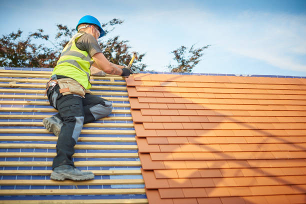 Best Roof Ventilation Installation  in Robinson, IL